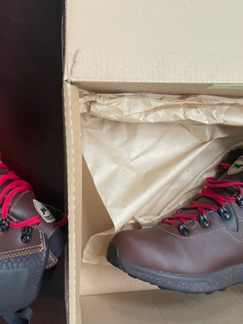 IRISH SETTER Canyons 2857 Size 11 D Waterproof Men's Hiking Work Boots